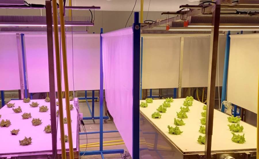 red-horticulture-led-lighting-customer-les-crudettes laboratory tests