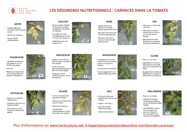 RED Horticulture summary poster nutritional deficiencies