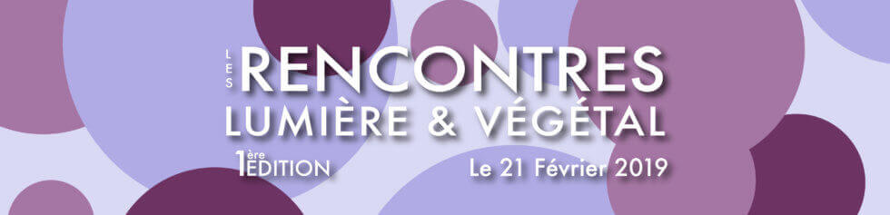 Recontres lumiere & vegetal