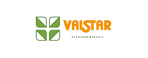 RED Horticulture LED lighting customer Valstar young plants