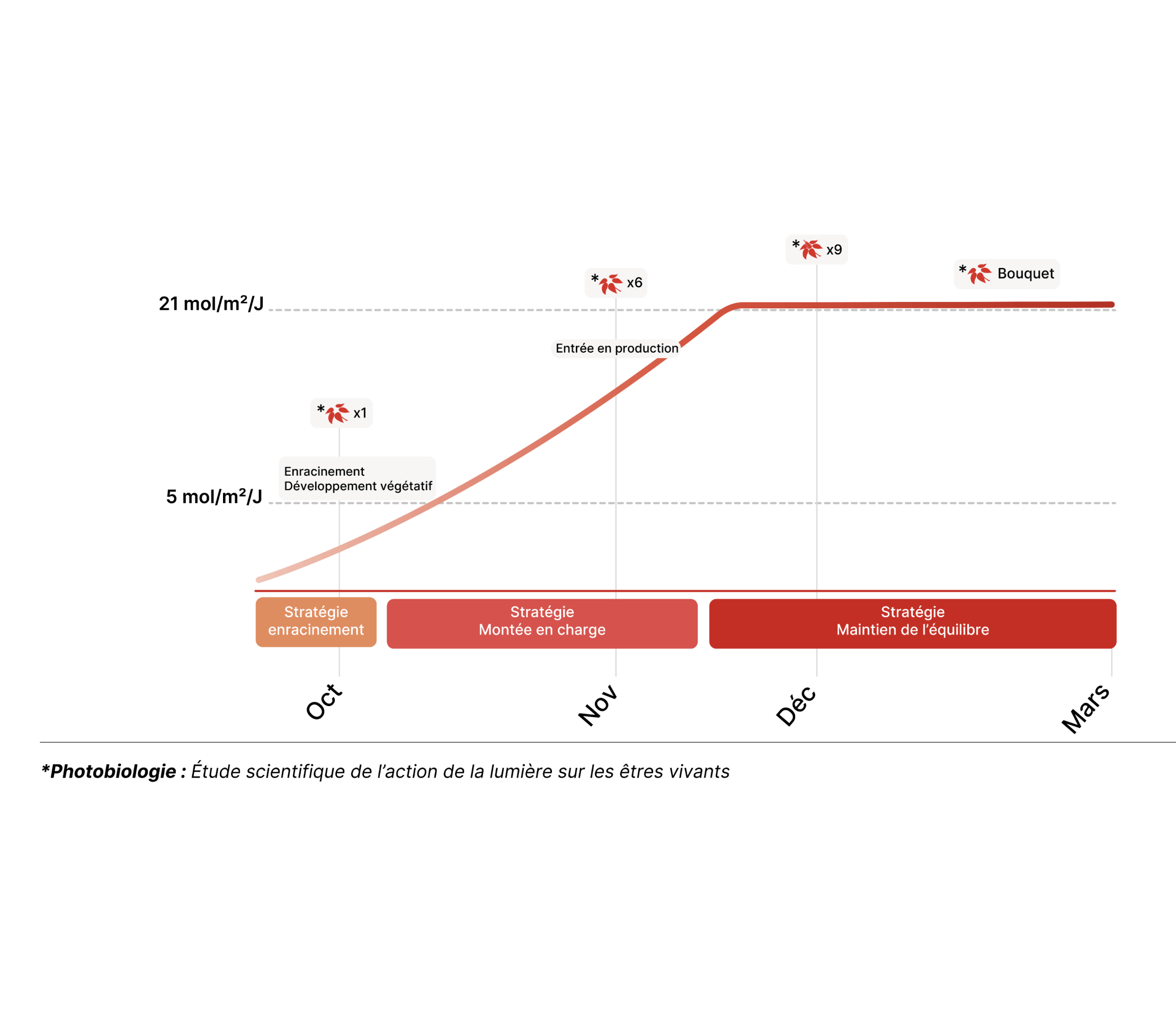 Iconographie calendrier des stades de développement production horticole en milieu fermé