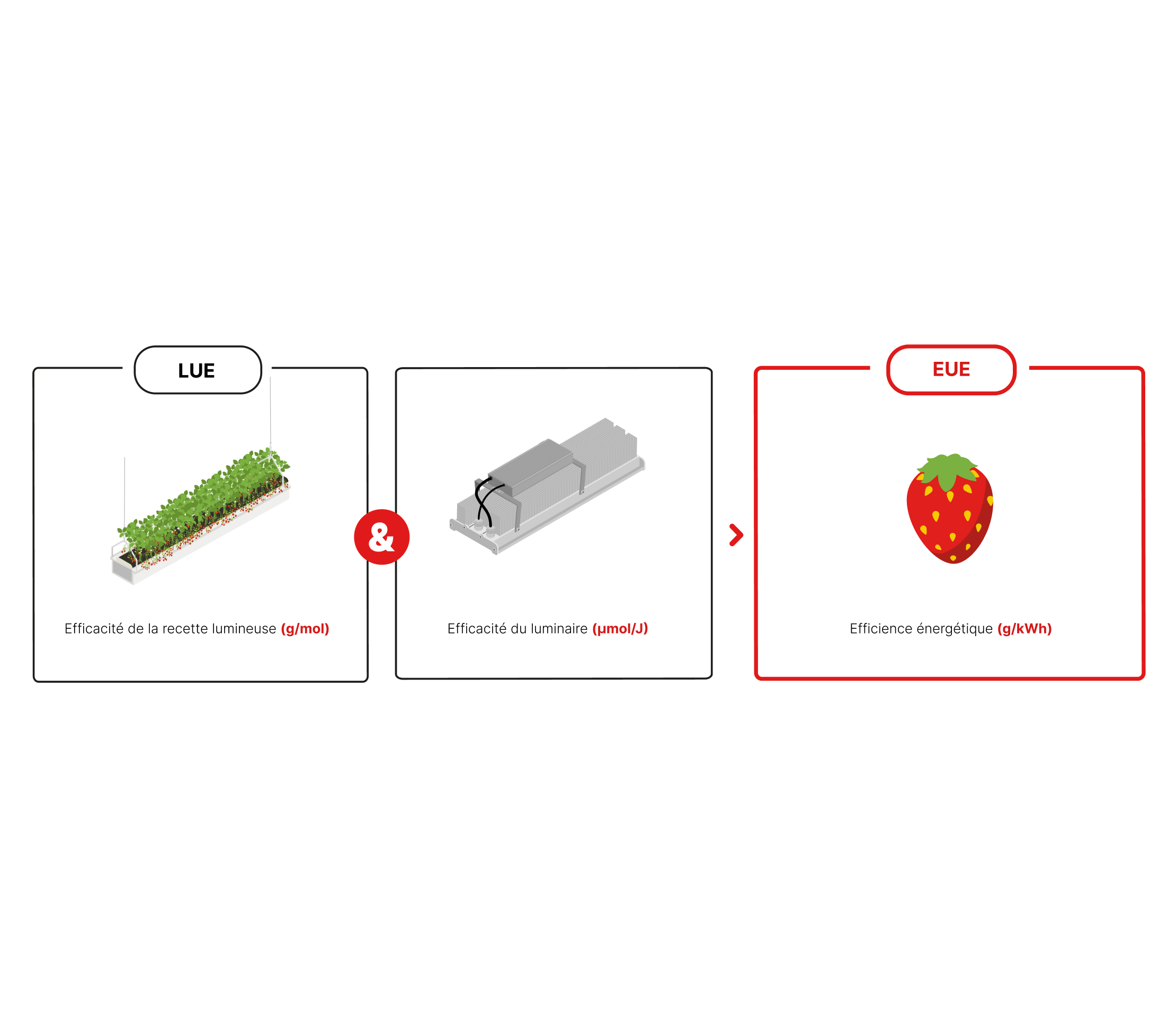 RED Horticulture mastering light soft fruit Early and Boost