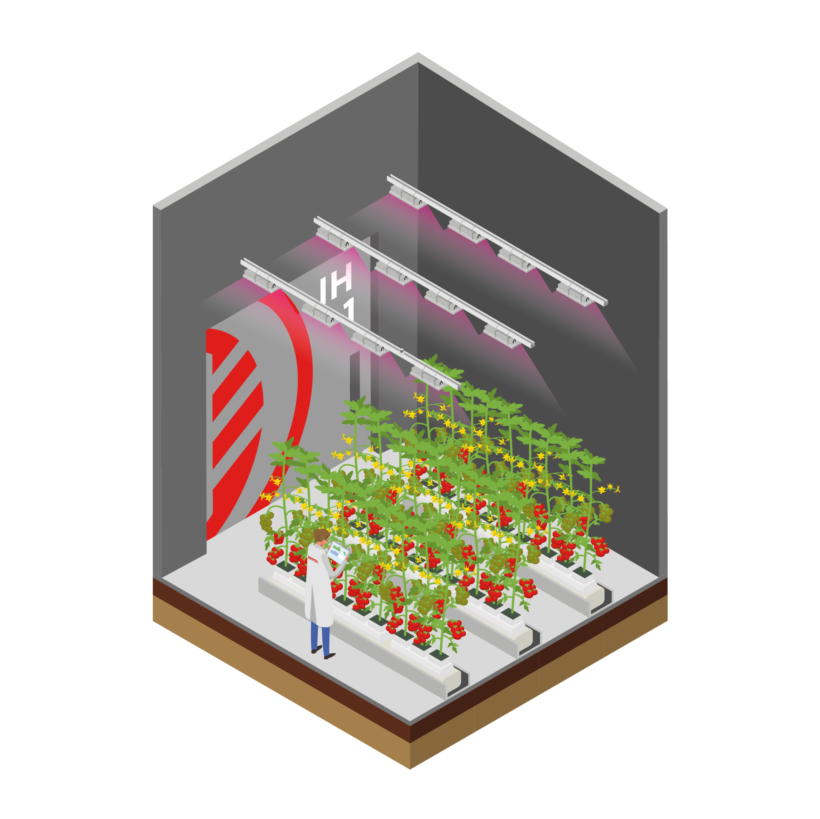 Illustration représentant des expérimentations photobiologiques au Photobiologic and Agronomic Research Parc.