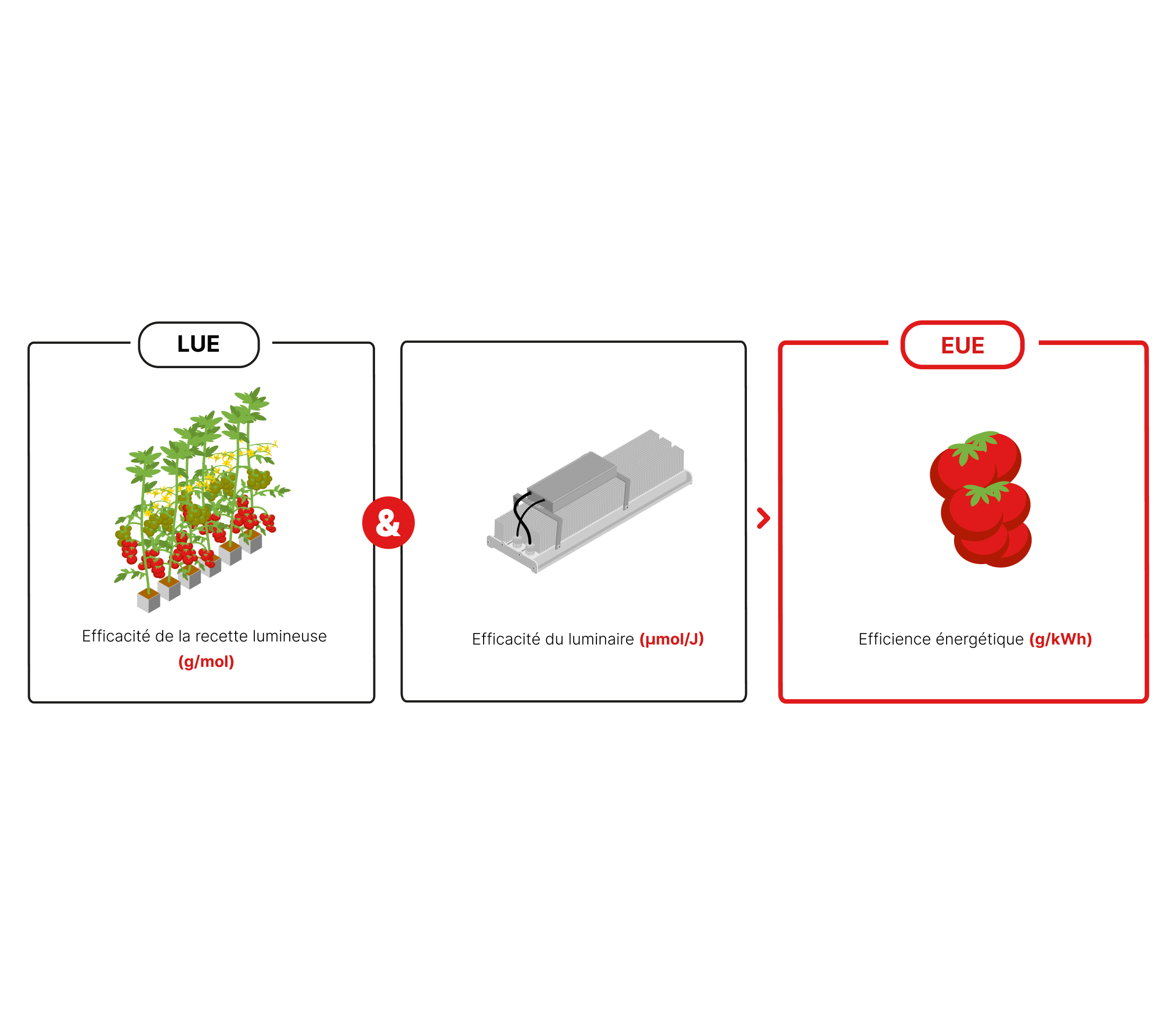 RED Horticulture photobiology to influence high-wire cultivation Eco and Boost tomatoes