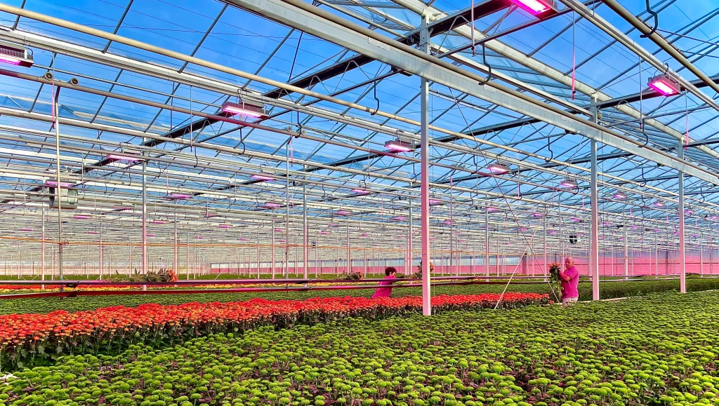 Luminaires LED dynamiques pour serres horticoles